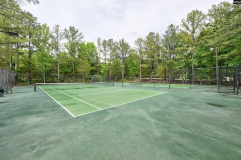 1 Aderley Court Irmo SC 29063