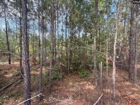 Mpf 3 Mt. Pisgah Road Jefferson SC 29718