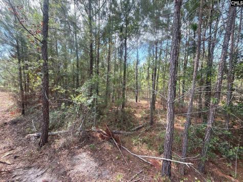 Mpf 3 Mt. Pisgah Road Jefferson SC 29718
