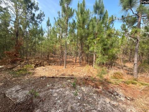 Mpf 3 Mt. Pisgah Road Jefferson SC 29718