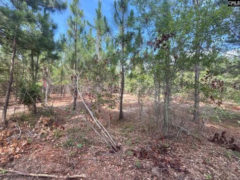 Mpf 3 Mt. Pisgah Road Jefferson SC 29718
