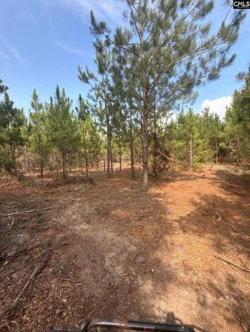 Mpf 3 Mt. Pisgah Road Jefferson SC 29718