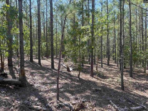 Kf 4 Keys Lane Kf 4 Kershaw SC 29067