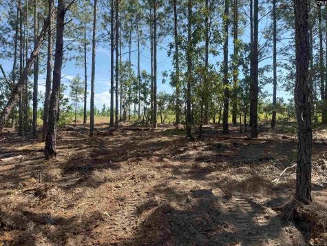 Kf 4 Keys Lane Kf 4 Kershaw SC 29067