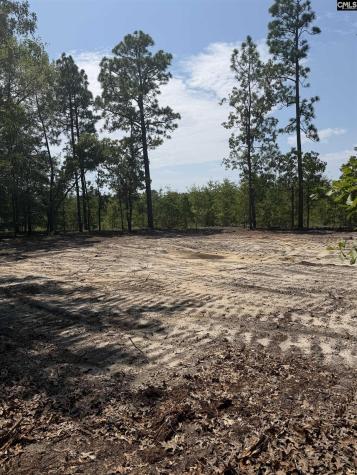 Lot 1 Patrick Highway Hartsville SC 29550