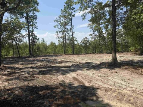 Lot 1 Patrick Highway Hartsville SC 29550