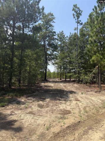 Lot 1 Patrick Highway Hartsville SC 29550