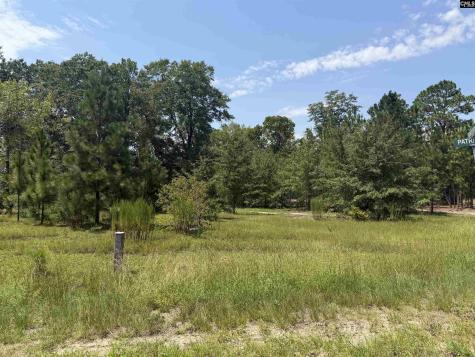 Lot 1 Patrick Highway Hartsville SC 29550