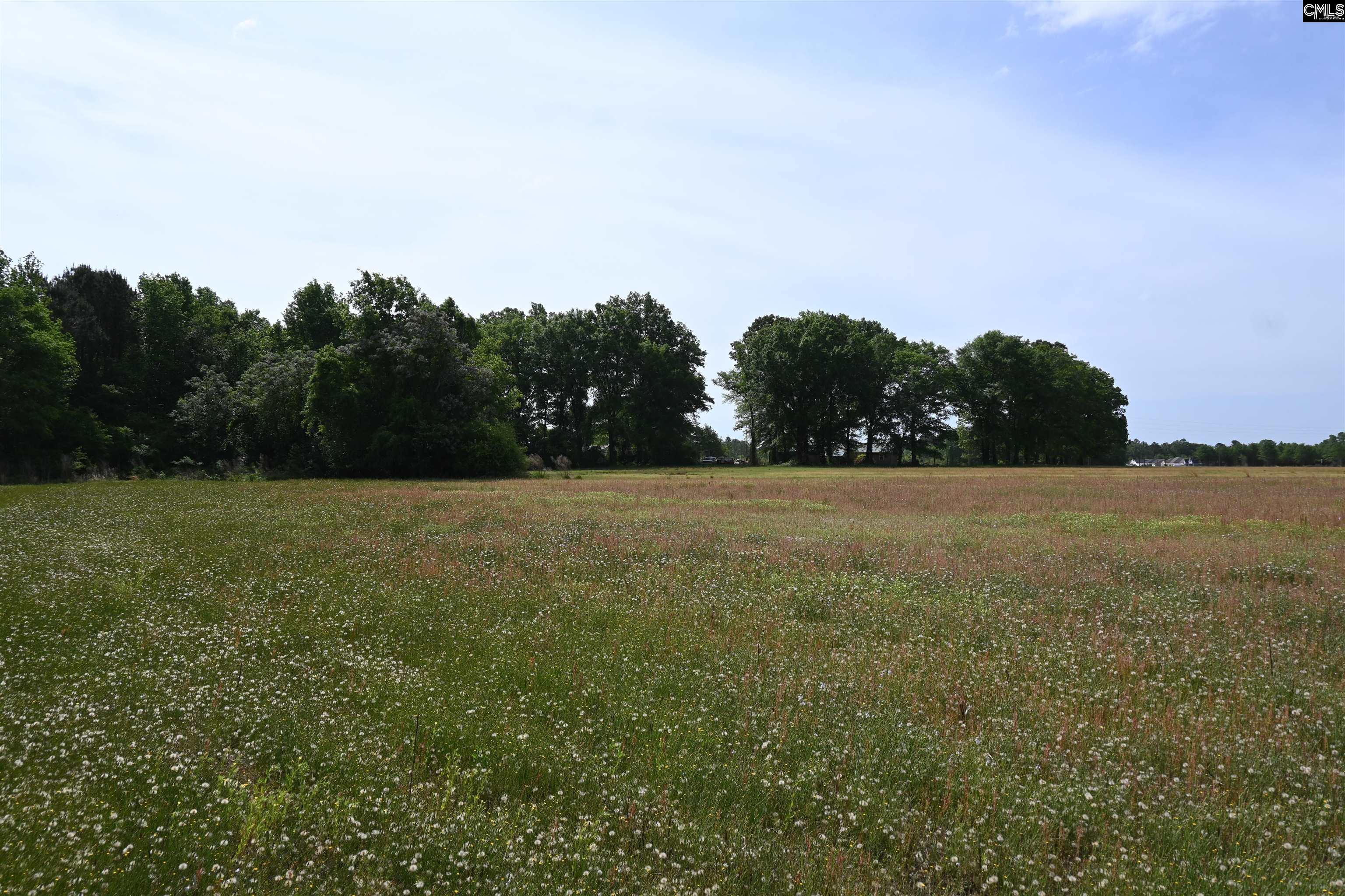 Tbd Gallowaytown Road Hartsville SC 29550