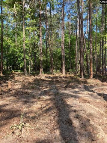 10735 Wilson Boulevard Blythewood SC 29016