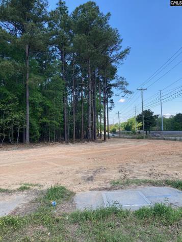 10735 Wilson Boulevard Blythewood SC 29016