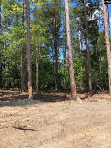 10735 Wilson Boulevard Blythewood SC 29016