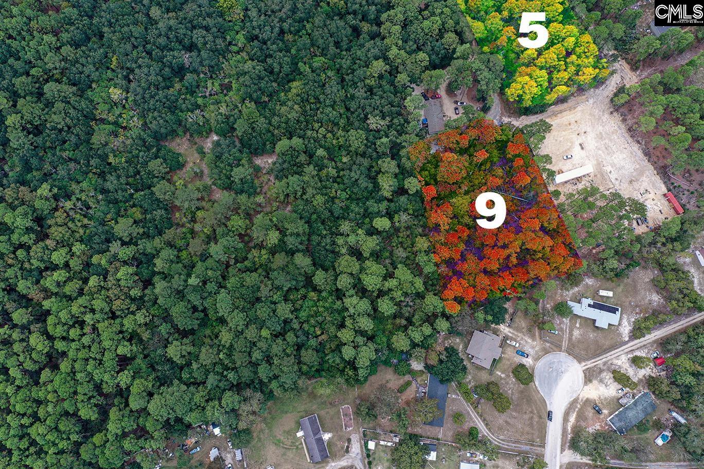 Mimosa Drive Gaston SC 29053