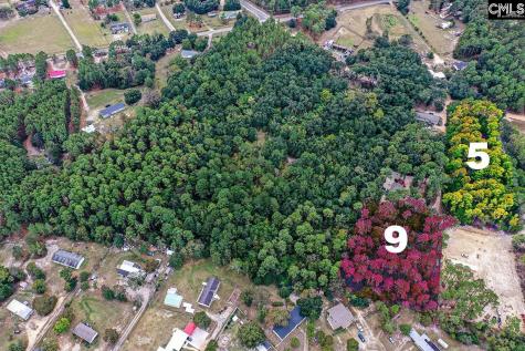 Mimosa Drive Gaston SC 29053