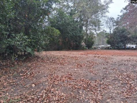 204 Miriam Avenue Columbia SC 29203