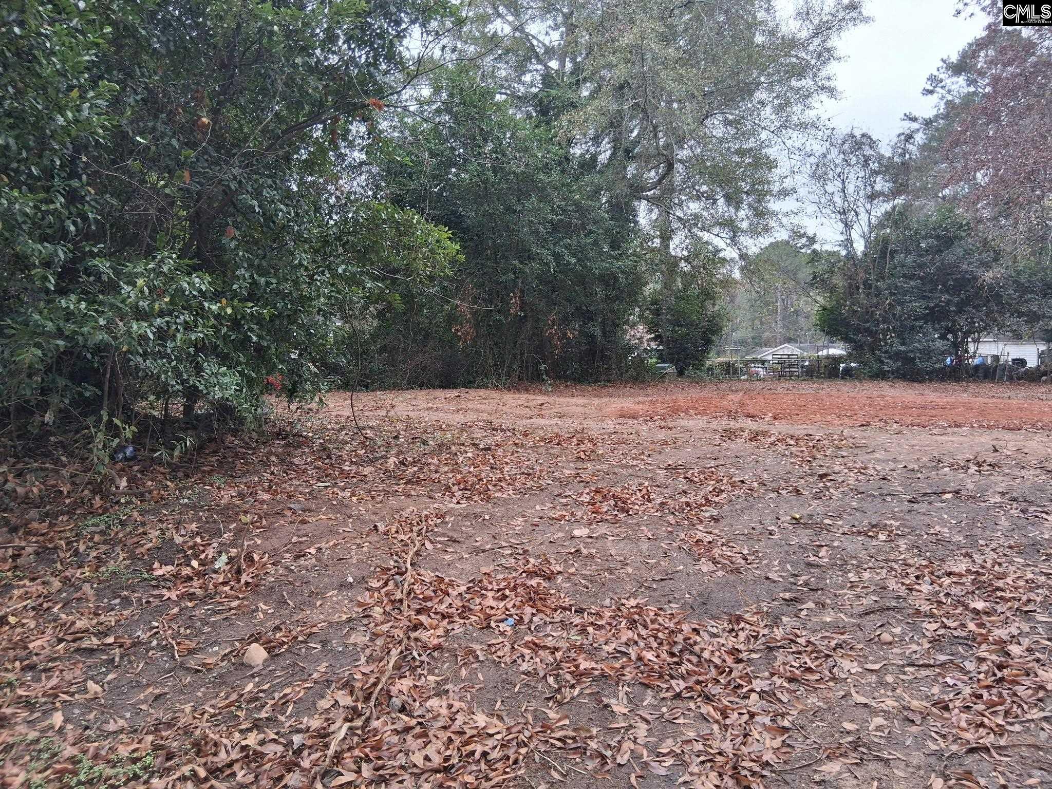 204 Miriam Avenue Columbia SC 29203