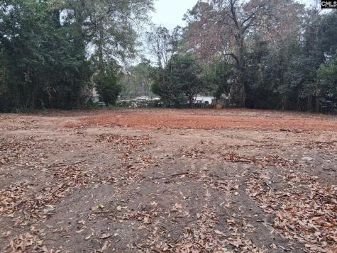204 Miriam Avenue Columbia SC 29203