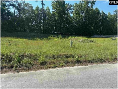 725 Club Cottage Drive Blythewood SC 29016