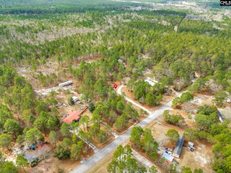 219 & 223 Donald Drive Lexington SC 29073