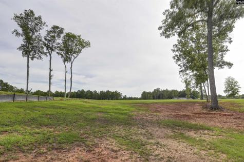 Lot 43 Longview Drive Leesville SC 29070