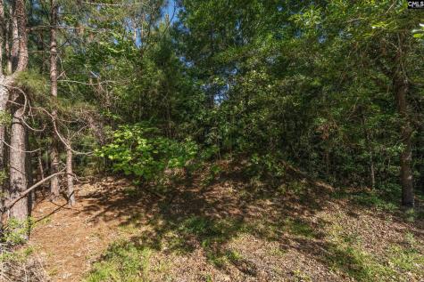 212 Lake Carolina Boulevard Columbia SC 29229
