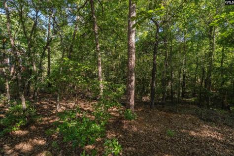 212 Lake Carolina Boulevard Columbia SC 29229