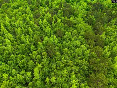 888 Cook Road Orangeburg SC 29115