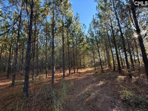 Fairview Road Leesville SC 29070