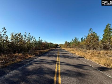 Fairview Road Leesville SC 29070