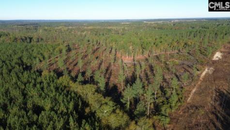 Fairview Road Leesville SC 29070