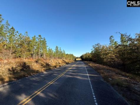 Fairview Road Leesville SC 29070