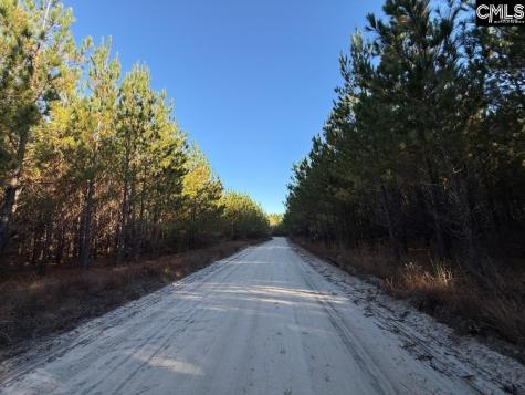 Fairview Road Leesville SC 29070