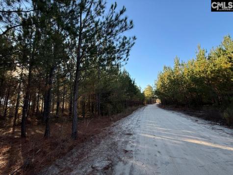 Fairview Road Leesville SC 29070