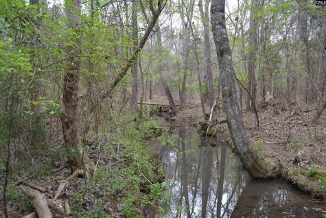 1309 Farming Creek Road Irmo SC 29063