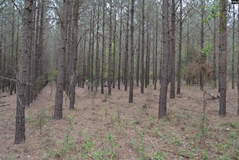 1309 Farming Creek Road Irmo SC 29063