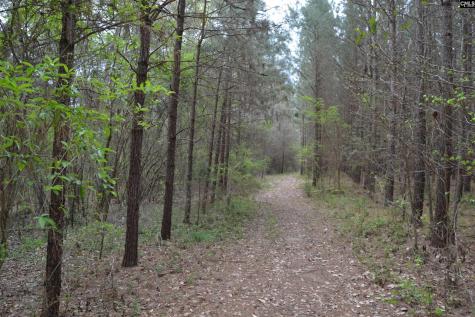 1309 Farming Creek Road Irmo SC 29063