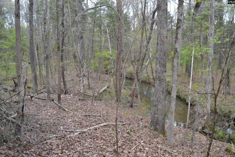 1309 Farming Creek Road Irmo SC 29063