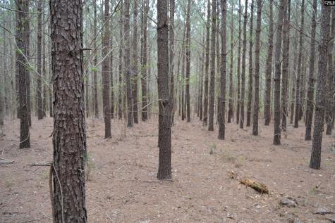 1309 Farming Creek Road Irmo SC 29063