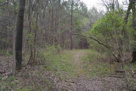 1309 Farming Creek Road Irmo SC 29063