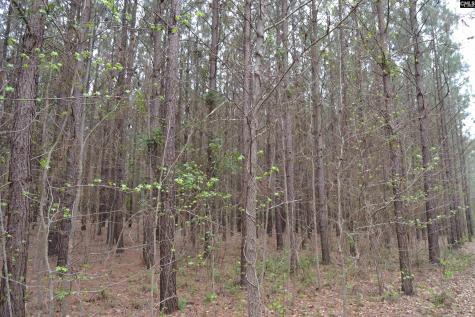 1309 Farming Creek Road Irmo SC 29063