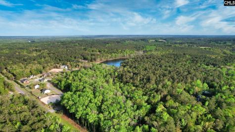 016 River Mill Way Gaston SC 29053