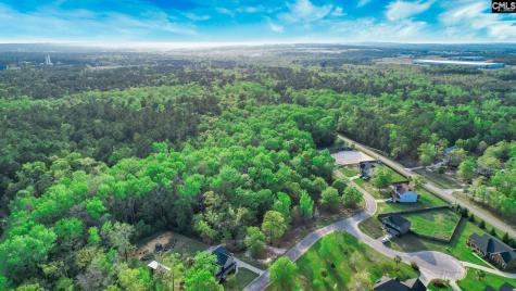 016 River Mill Way Gaston SC 29053