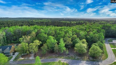 016 River Mill Way Gaston SC 29053