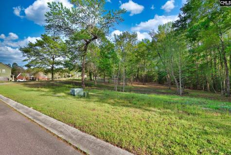 016 River Mill Way Gaston SC 29053