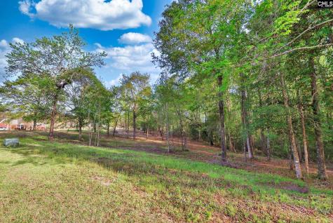 016 River Mill Way Gaston SC 29053