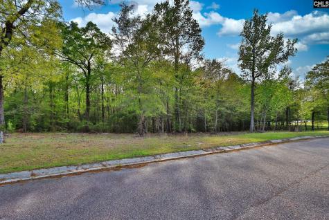 016 River Mill Way Gaston SC 29053