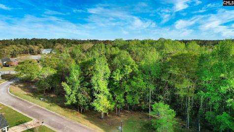 016 River Mill Way Gaston SC 29053