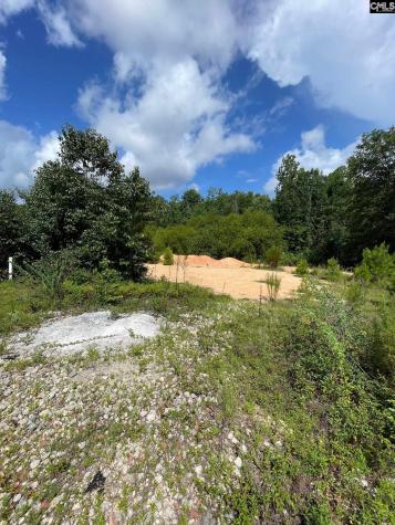 55 Edinburgh Lane Camden SC 29020