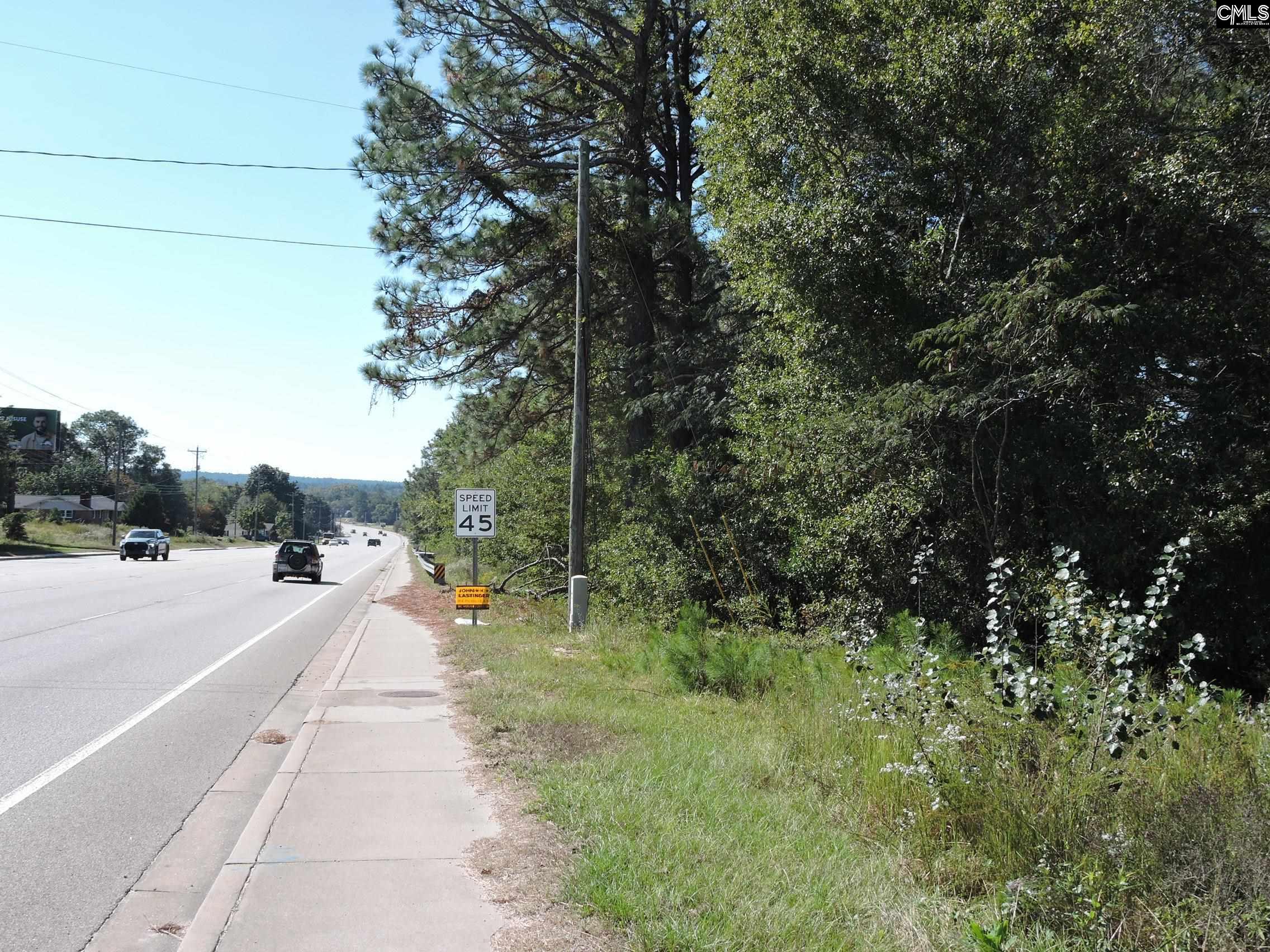 1250 South Lake Drive Lexington SC 29073