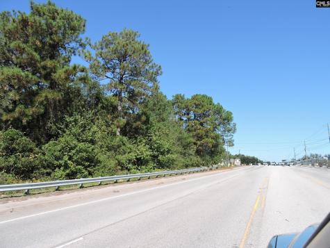 1250 South Lake Drive Lexington SC 29073